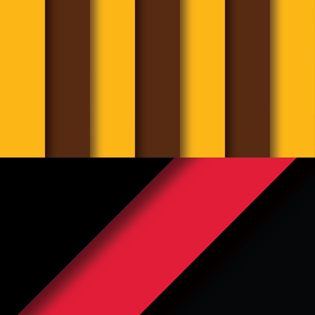ROUND 20: Hawthorn vs Essendon