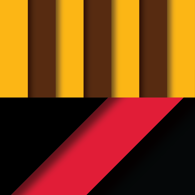 ROUND 20: Hawthorn vs Essendon