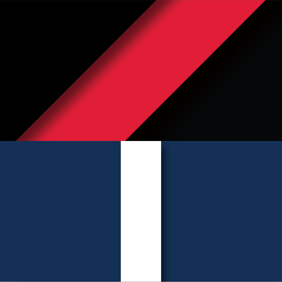 ROUND 13: Essendon vs Carlton