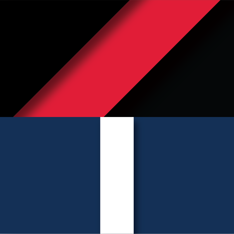 ROUND 13: Essendon vs Carlton