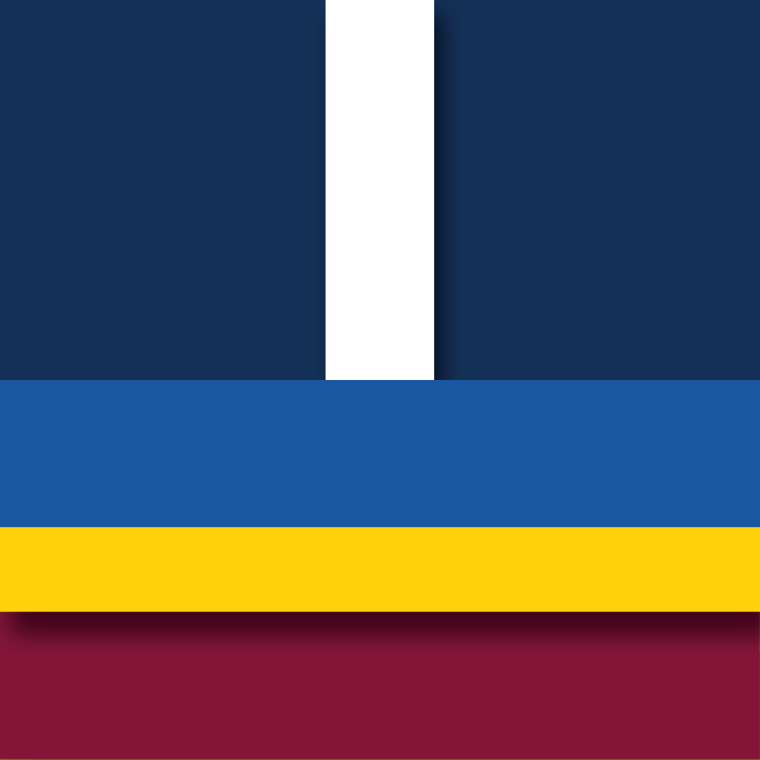 ROUND 21: Carlton vs Brisbane