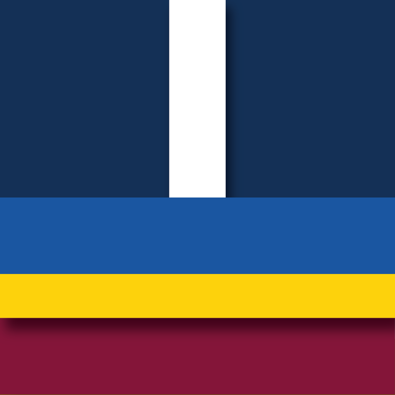 ROUND 21: Carlton vs Brisbane